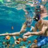 Discovering the Best Snorkeling Spots in the Florida Keys