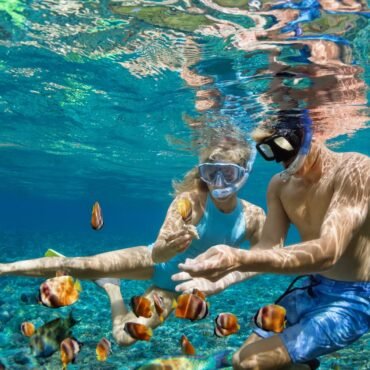 Best Snorkeling Spots in the Florida Keys