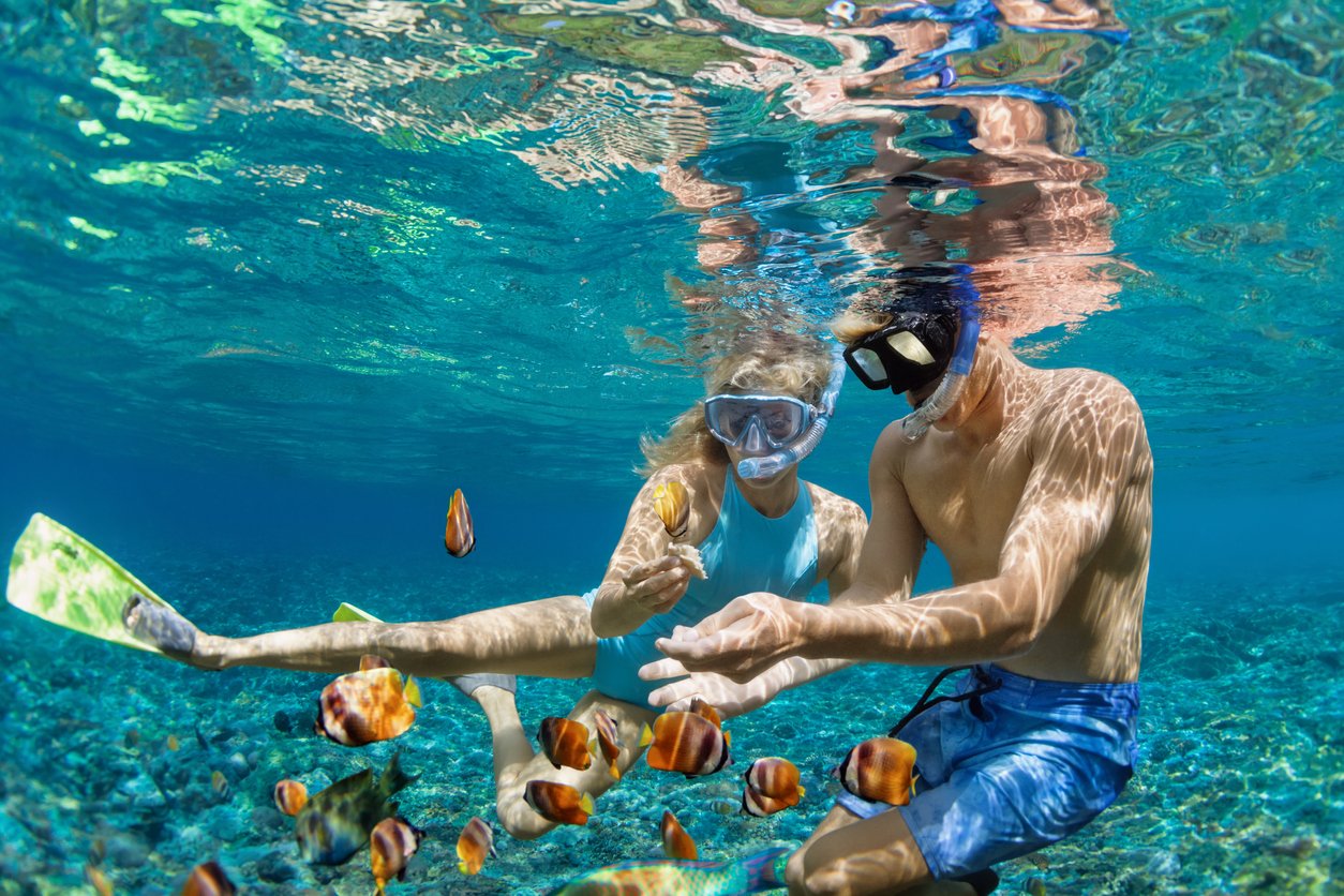 Best Snorkeling Spots in the Florida Keys